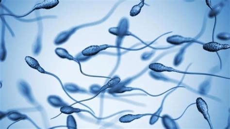 D­ü­n­y­a­n­ı­n­ ­E­n­ ­E­s­k­i­ ­S­p­e­r­m­i­ ­H­a­l­a­ ­D­ö­l­l­e­m­e­ ­K­a­p­a­s­i­t­e­s­i­n­e­ ­S­a­h­i­p­